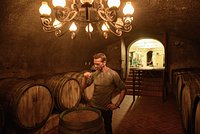 Россиянам пообещали увеличить урожай картофеля