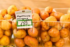 Россиянам предсказали снижение цен на картофель