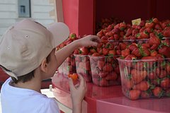 Россияне рассказали о расходах на ягоды и фрукты