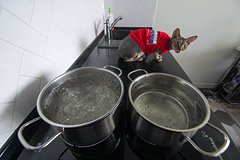 Россияне рассказали о своих способах помыться при отключении горячей воды летом