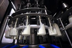 Российских производителей молочной продукции обложат штрафами