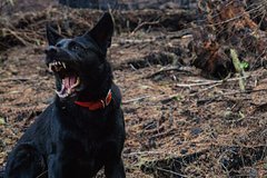 Российский боец рассказал о жестоких пытках в плену у ВСУ