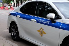 Российский пенсионер расчленил знакомую на 20 частей