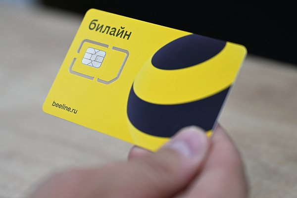 С доставкой на дом. Билайн начал продажу сим-карт в &laquo;Самокате&raquo;