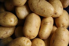 Сборы картофеля в России оценили