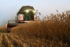 Снижение объемов продажи российского зерна объяснили