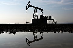 Стало известно о переговорах индийских компаний о закупках нефти из России
