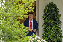 Трамп высказался насчет данных об употреблении Маском наркотиков