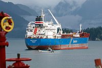 Трампа назвали противником понижения потолка цен на российскую нефть