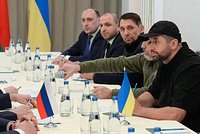 Украинский министр остался в Австрии после рабочего визита