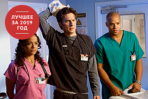 Укус паука-отшельника вызвал у женщины редкую болезнь