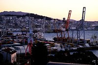 В Брюсселе заявили об отсутствии юридических обязательств в договоренностях с Трампом