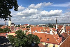 В Эстонии встревожились из-за падения дронов у границы