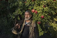 В Госдуме допустили закрытие авиасообщения с Азербайджаном