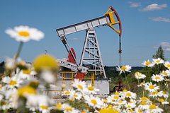 В Госдуме оценили последствия отказа Индии от закупок российской нефти