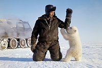 В океане заметили уникальный черный айсберг