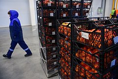 В России оценили потери Азербайджана при разрыве связей