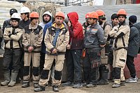 В России предложили ввести запрет на труд для одной категории работников