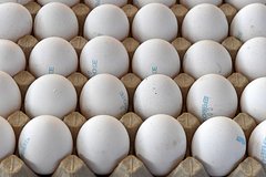 В России предложили заморозить цены на ряд продуктов
