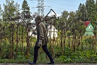 В России предупредили о потере части урожая из-за старой техники