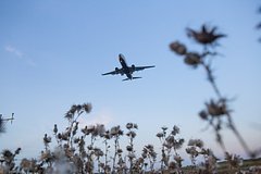 В России приготовились догнать Boeing и Airbus за пять лет