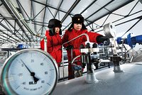 В России спрогнозировали прогресс в переговорах с Китаем по &laquo;Силе Сибири-2&raquo;