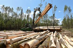 В Segezha Group назвали объемы привлеченных средств в результате допэмиссии акций