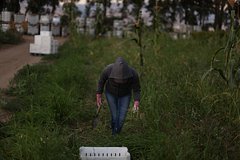 В США задумались о частичном снятии пошлины на некоторые товары