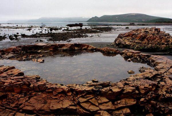 В США задумались о покупке у России Командорских островов. Почему такую сделку назвали самым страшным преступлением?