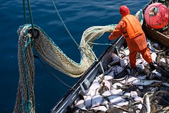 Во Владивостоке моряки пострадали из-за взрыва на судне