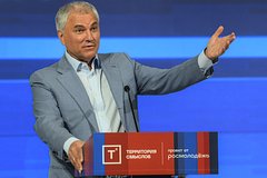 Володин порассуждал о разнице между политиками и государственниками