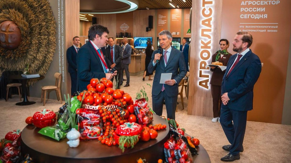 Все для АПК. Россельхозбанк презентовал на ПМЭФ площадку Агрокластер. Для чего?