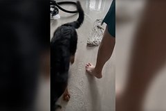 Жильцы &laquo;Города Сказки&raquo; пожаловались на двухлетний потоп в доме